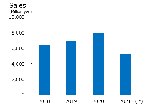 n sales e2021