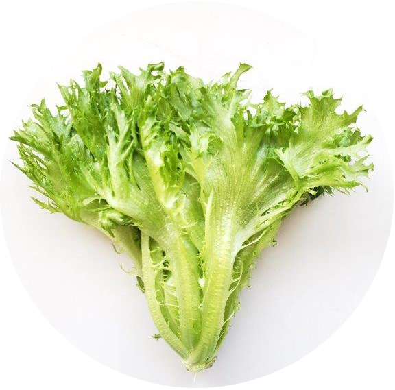 frilledlettucecircle