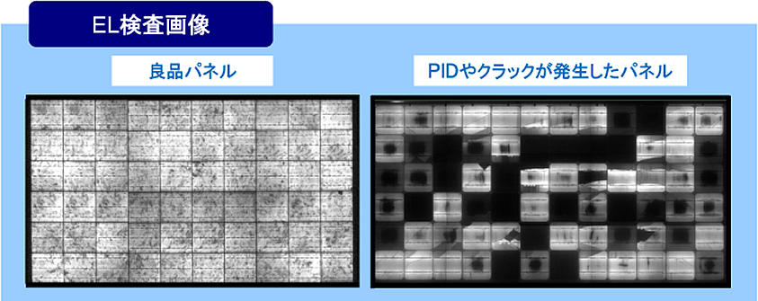 EL検査画像