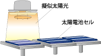 cell feeding R1